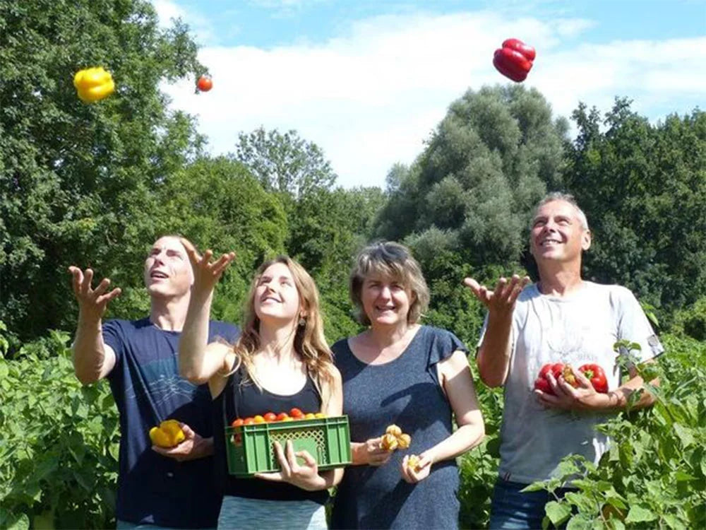 Menschen mit Gemüse im Freien.