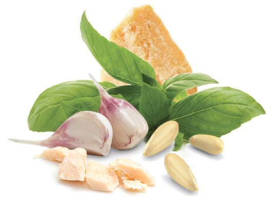 Pesto Basillikum 'Genovese'
