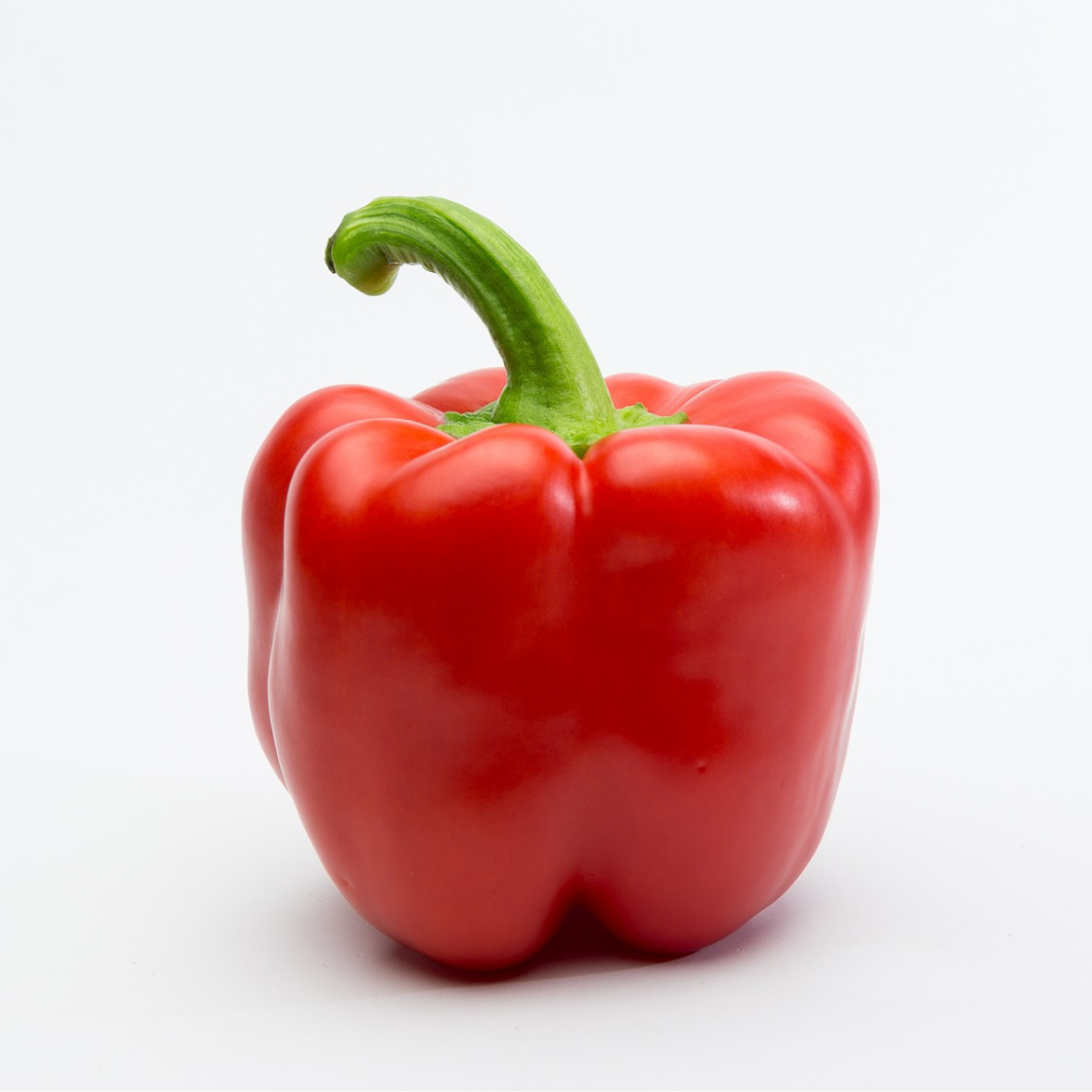 Paprika rot