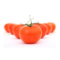 Tomaten