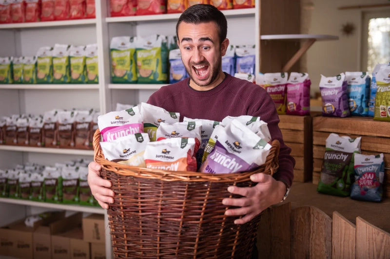 Person hält Korb mit Produkten