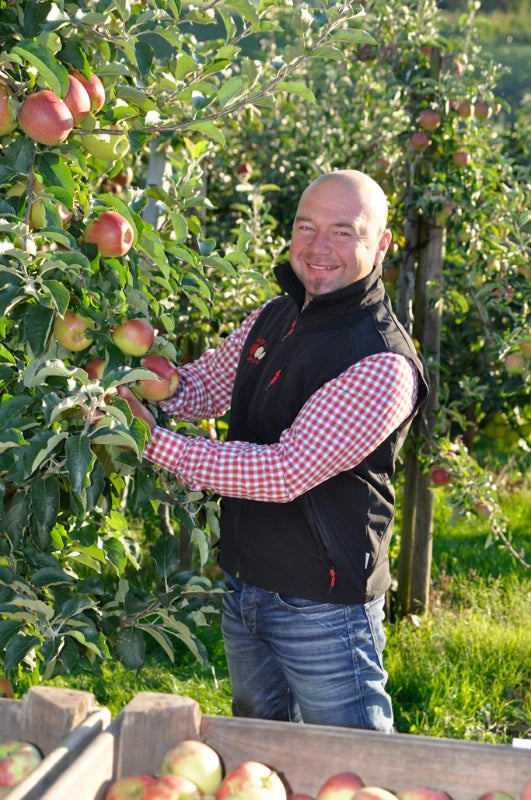 Mann pflückt Äpfel im Obstgarten