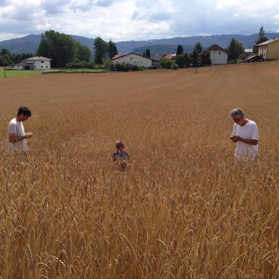 Menschen im Weizenfeld stehend