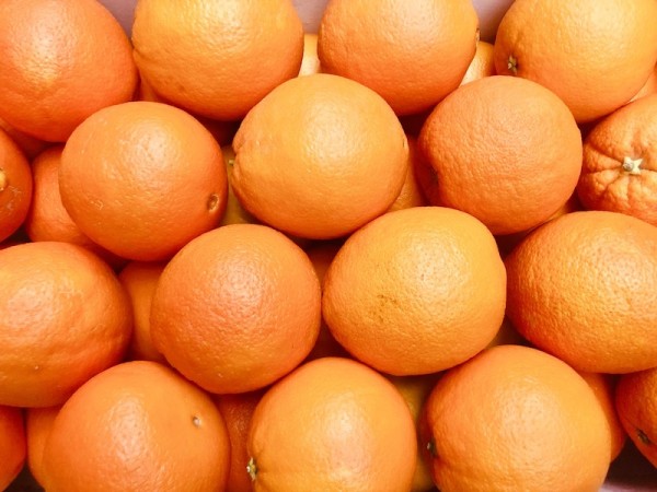 Orangen 10kg